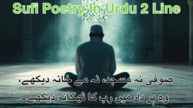 Sufi Poetry In Urdu 2 Line
