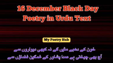 16 December Black Day Poetry in Urdu
