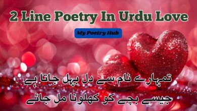 2 Line Poetry In Urdu Love