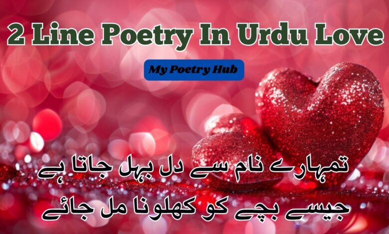 2 Line Poetry In Urdu Love