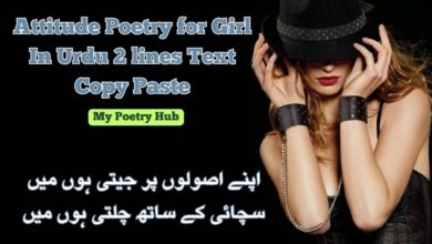Attitude Poetry for Girl
