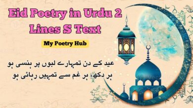 Eid Poetry in Urdu 2 Lines S Text