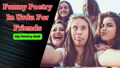Funny Poetry In Urdu For Friends