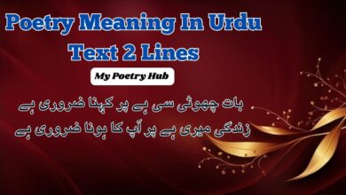 Poetry Meaning In Urdu