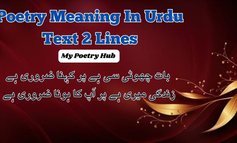 Poetry Meaning In Urdu