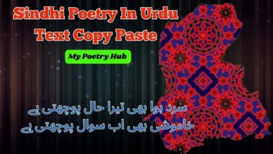 Sindhi Poetry In Urdu