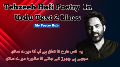 Tehzeeb Hafi Poetry In Urdu Text 2 Lines